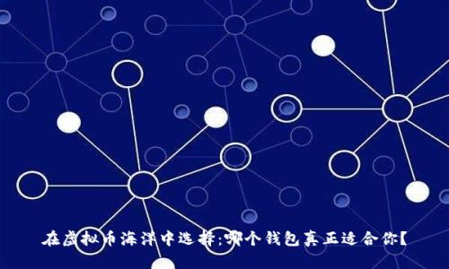 在虚拟币海洋中选择：哪个钱包真正适合你？